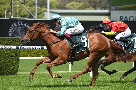 gimcrack winners.